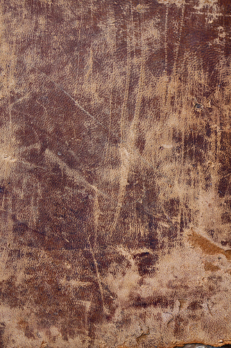 Antique Leather 03